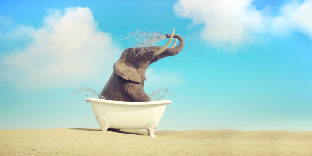 Grafik - Elefant in einer Badewanne